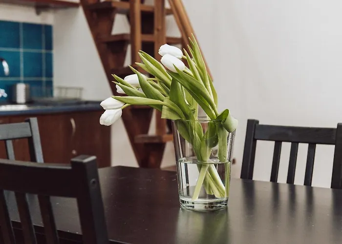 Studio Apart Odası